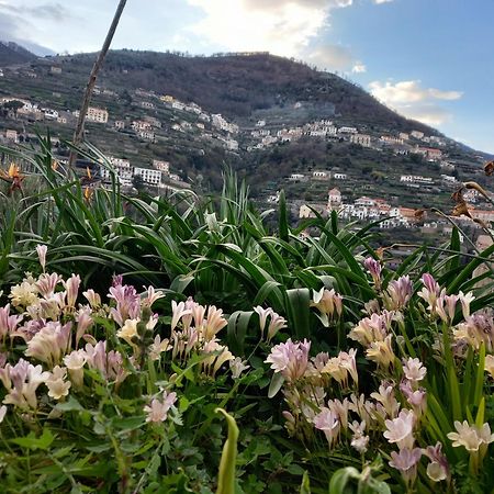La Margherita Fiorita Ravello Luaran gambar