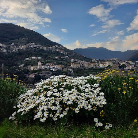 La Margherita Fiorita Ravello Luaran gambar