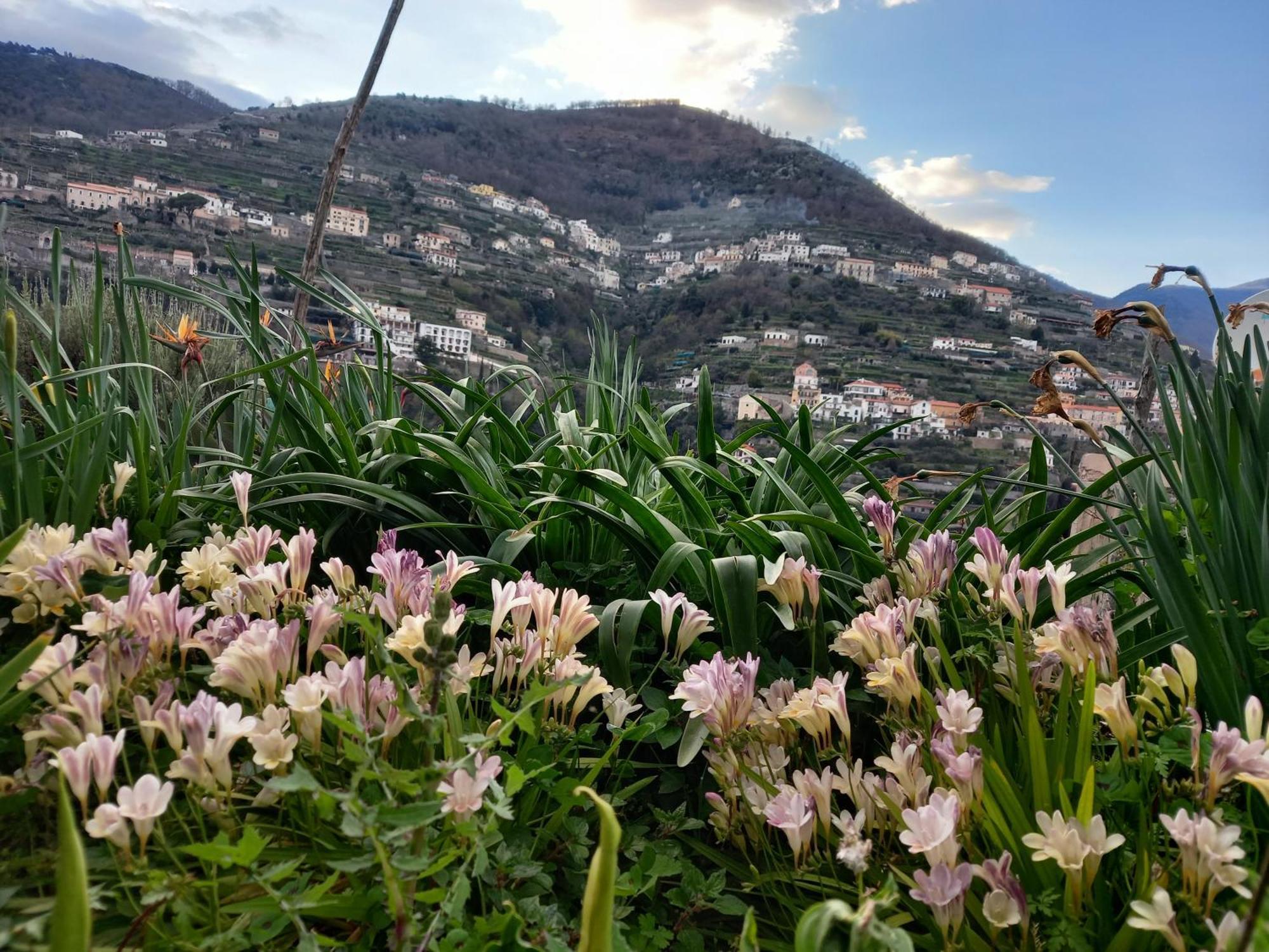 La Margherita Fiorita Ravello Luaran gambar